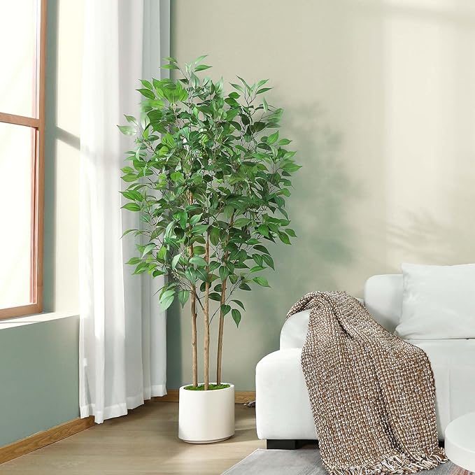 Un ficus decorando la esquina de una habitación, iluminado desde una ventana.