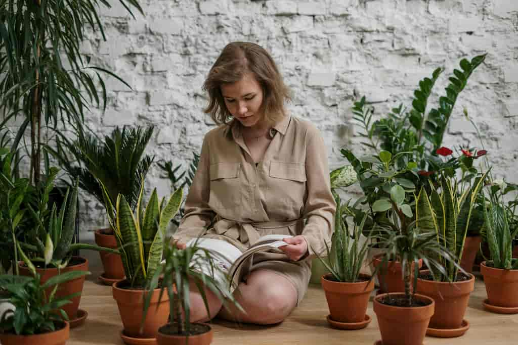 Una joven leyendo entre macetas con diferentes plantas en un patio